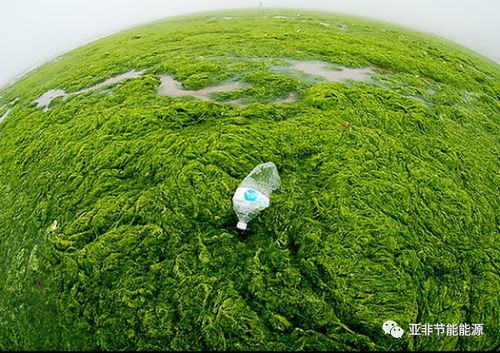 環(huán)保企業(yè)注意了 企業(yè)投資項目事中事后監(jiān)管辦法 自2018年2月4日起施行