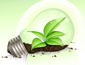 合創(chuàng)產(chǎn)業(yè) 行業(yè)資訊 推廣種植生物質(zhì)能源林 保障生物質(zhì)發(fā)電燃料