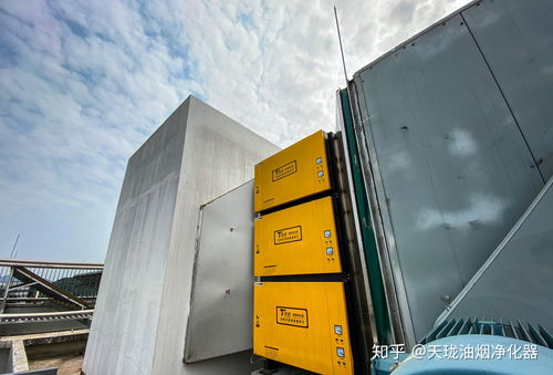 天瀧環(huán)保 創(chuàng)維創(chuàng)新谷80萬風量 油煙凈化器安裝案例